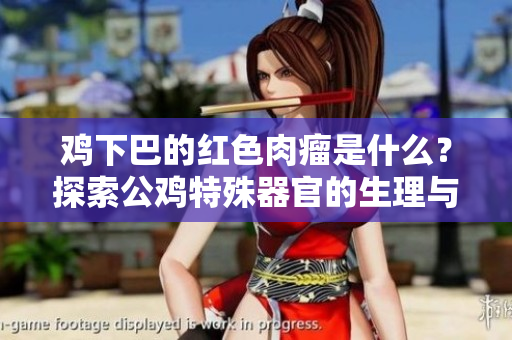 雞下巴的紅色肉瘤是什么？探索公雞特殊器官的生理與作用