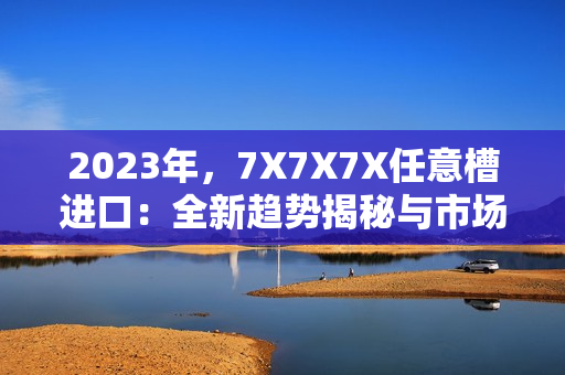 2023年，7X7X7X任意槽進口：全新趨勢揭秘與市場展望