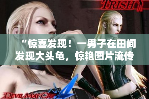 “驚喜發(fā)現(xiàn)！一男子在田間發(fā)現(xiàn)大頭龜，驚艷圖片流傳網(wǎng)絡，引發(fā)熱議”