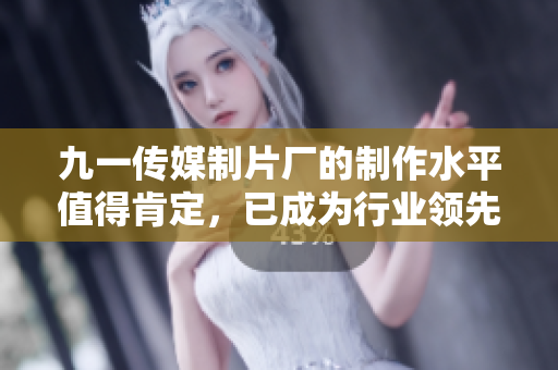 九一傳媒制片廠的制作水平值得肯定，已成為行業(yè)領先者