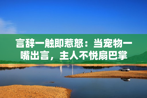 言辭一觸即惹怒：當(dāng)寵物一嘴出言，主人不悅扇巴掌