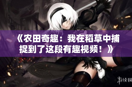 《農(nóng)田奇趣：我在稻草中捕捉到了這段有趣視頻！》