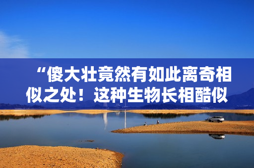“傻大壯竟然有如此離奇相似之處！這種生物長相酷似驢子？”