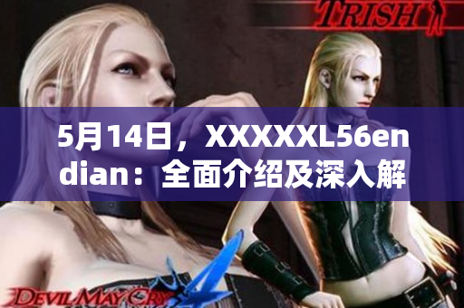 5月14日，XXXXXL56endian：全面介紹及深入解析