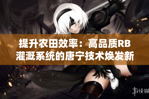 提升農(nóng)田效率：高品質(zhì)RB灌溉系統(tǒng)的唐寧技術(shù)煥發(fā)新活力