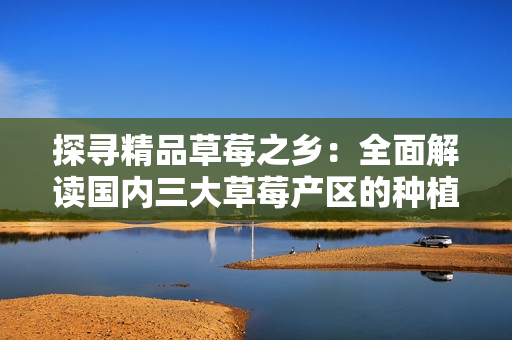探尋精品草莓之鄉(xiāng)：全面解讀國內(nèi)三大草莓產(chǎn)區(qū)的種植技術(shù)與品質(zhì)特點