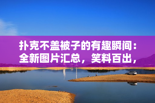 撲克不蓋被子的有趣瞬間：全新圖片匯總，笑料百出，驚喜連連