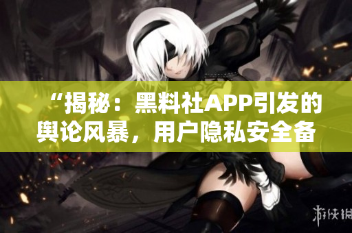 “揭秘：黑料社APP引發(fā)的輿論風(fēng)暴，用戶隱私安全備受質(zhì)疑！”