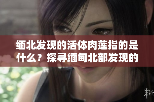 緬北發(fā)現的活體肉蓮指的是什么？探尋緬甸北部發(fā)現的神秘植物故事