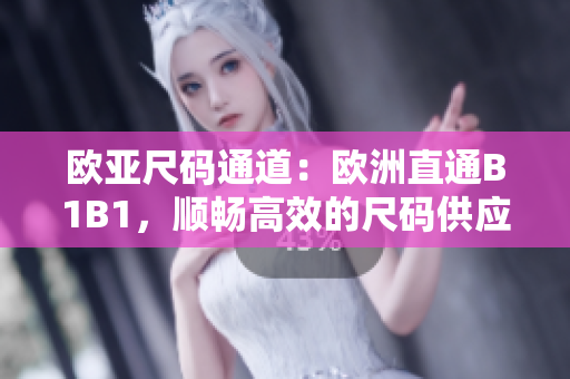歐亞尺碼通道：歐洲直通B1B1，順暢高效的尺碼供應(yīng)鏈