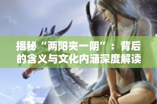 揭秘“兩陽夾一陰”：背后的含義與文化內(nèi)涵深度解讀