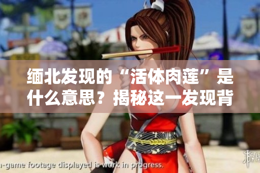 緬北發(fā)現(xiàn)的“活體肉蓮”是什么意思？揭秘這一發(fā)現(xiàn)背后的秘密