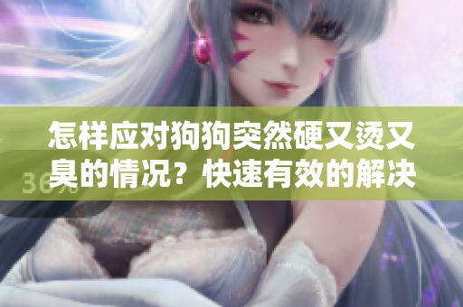 怎樣應(yīng)對(duì)狗狗突然硬又燙又臭的情況？快速有效的解決方法分享