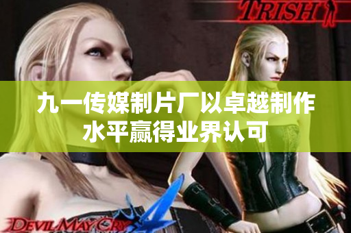 九一傳媒制片廠以卓越制作水平贏得業(yè)界認(rèn)可