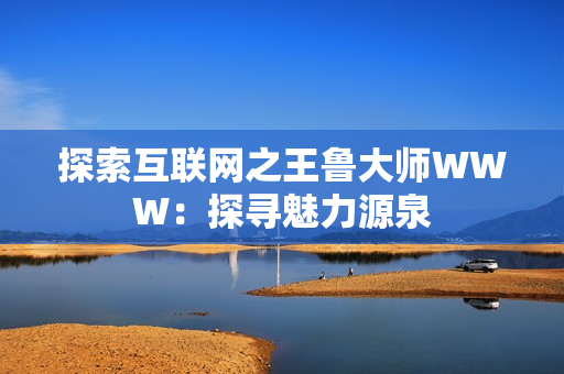 探索互聯(lián)網(wǎng)之王魯大師WWW：探尋魅力源泉