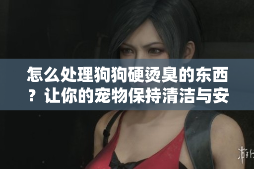 怎么處理狗狗硬燙臭的東西？讓你的寵物保持清潔與安全