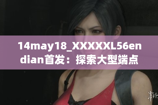 14may18_XXXXXL56endian首發(fā)：探索大型端點系統(tǒng)在印度的應(yīng)用及影響
