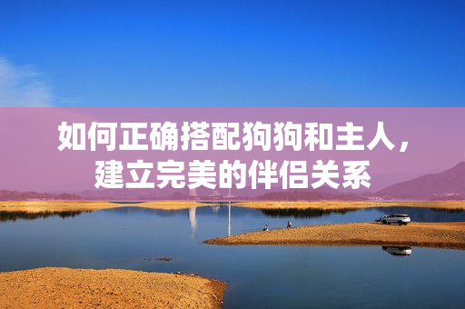 如何正確搭配狗狗和主人，建立完美的伴侶關(guān)系