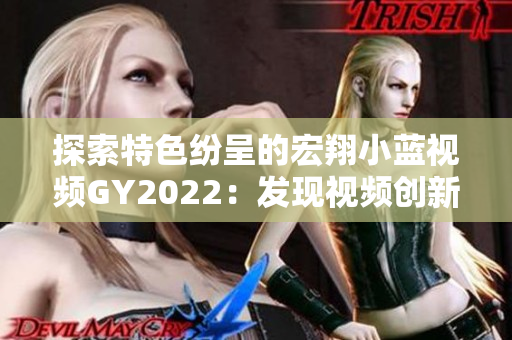 探索特色紛呈的宏翔小藍(lán)視頻GY2022：發(fā)現(xiàn)視頻創(chuàng)新之美