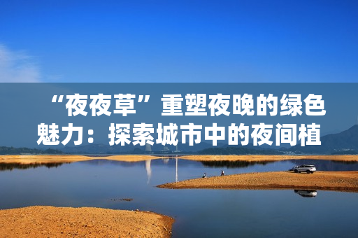 “夜夜草”重塑夜晚的綠色魅力：探索城市中的夜間植被美學(xué)與生態(tài)價值