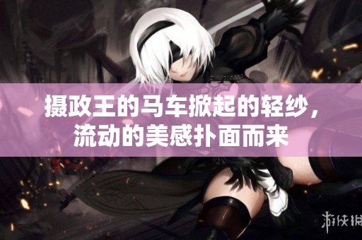 攝政王的馬車掀起的輕紗，流動(dòng)的美感撲面而來