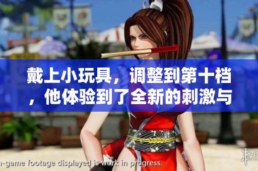戴上小玩具，調(diào)整到第十檔，他體驗(yàn)到了全新的刺激與樂趣。