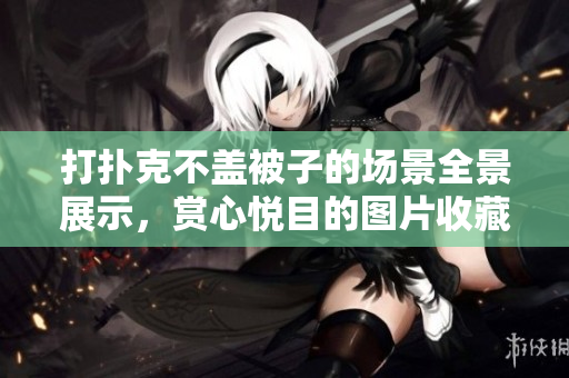 打撲克不蓋被子的場(chǎng)景全景展示，賞心悅目的圖片收藏展示