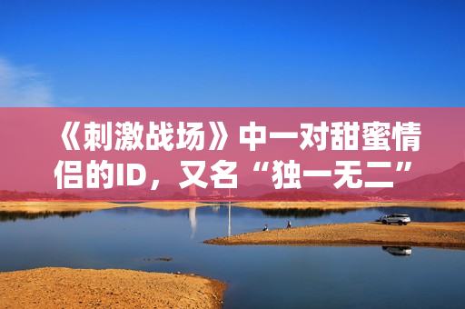 《刺激戰(zhàn)場》中一對甜蜜情侶的ID，又名“獨(dú)一無二”的游戲標(biāo)識