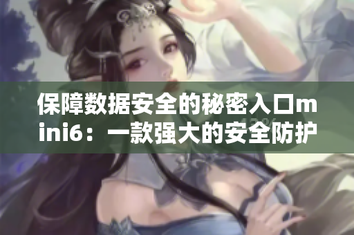 保障數(shù)據(jù)安全的秘密入口mini6：一款強大的安全防護工具