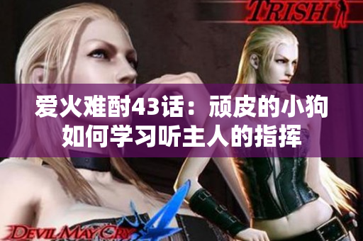 愛(ài)火難酎43話(huà)：頑皮的小狗如何學(xué)習(xí)聽(tīng)主人的指揮