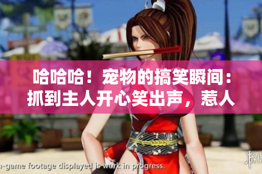 哈哈哈！寵物的搞笑瞬間：抓到主人開心笑出聲，惹人喜愛的柯基故事