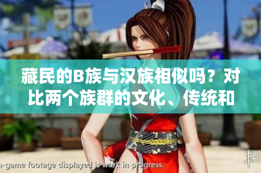 藏民的B族與漢族相似嗎？對(duì)比兩個(gè)族群的文化、傳統(tǒng)和生活方式