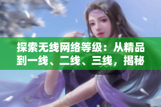 探索無線網(wǎng)絡(luò)等級：從精品到一線、二線、三線，揭秘各級別的特色與優(yōu)勢