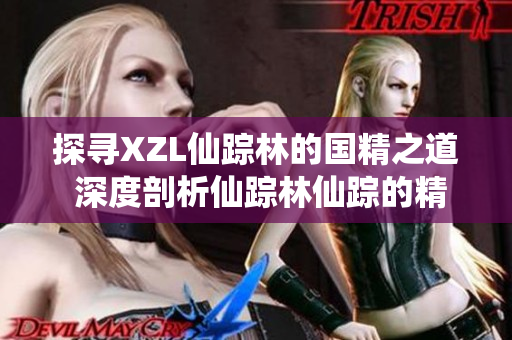 探尋XZL仙蹤林的國精之道 深度剖析仙蹤林仙蹤的精髓