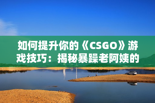 如何提升你的《CSGO》游戲技巧：揭秘暴躁老阿姨的高手秘訣