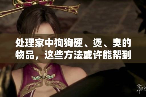 處理家中狗狗硬、燙、臭的物品，這些方法或許能幫到你
