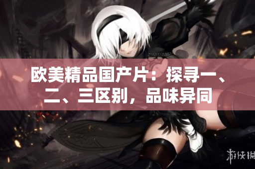 歐美精品國(guó)產(chǎn)片：探尋一、二、三區(qū)別，品味異同