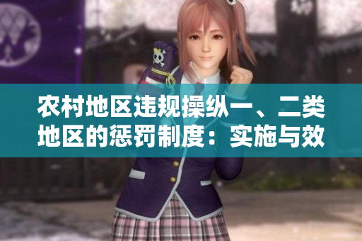 農(nóng)村地區(qū)違規(guī)操縱一、二類地區(qū)的懲罰制度：實施與效果評估