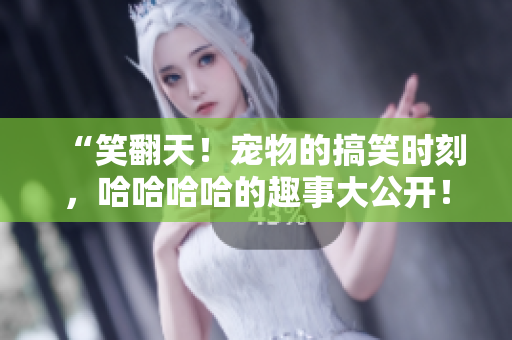 “笑翻天！寵物的搞笑時(shí)刻，哈哈哈哈的趣事大公開(kāi)！”