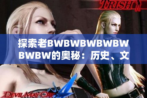 探索老BWBWBWBWBWBWBW的奧秘：歷史、文化和傳承