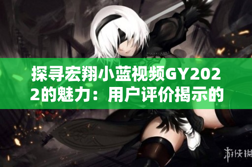 探尋宏翔小藍(lán)視頻GY2022的魅力：用戶評價揭示的觀看體驗(yàn)與技術(shù)特點(diǎn)