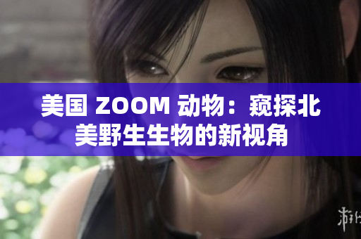 美國 ZOOM 動物：窺探北美野生生物的新視角