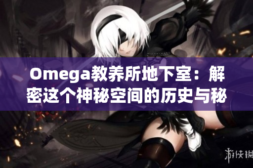 Omega教養(yǎng)所地下室：解密這個(gè)神秘空間的歷史與秘密
