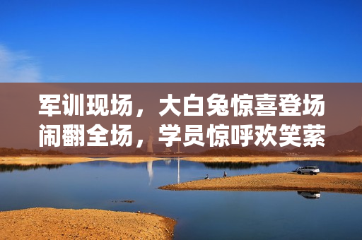 軍訓(xùn)現(xiàn)場，大白兔驚喜登場鬧翻全場，學(xué)員驚呼歡笑縈繞