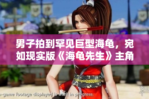 男子拍到罕見巨型海龜，宛如現(xiàn)實(shí)版《海龜先生》主角