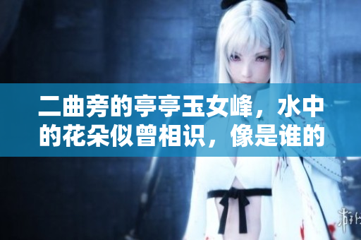 二曲旁的亭亭玉女峰，水中的花朵似曾相識(shí)，像是誰(shuí)的風(fēng)采