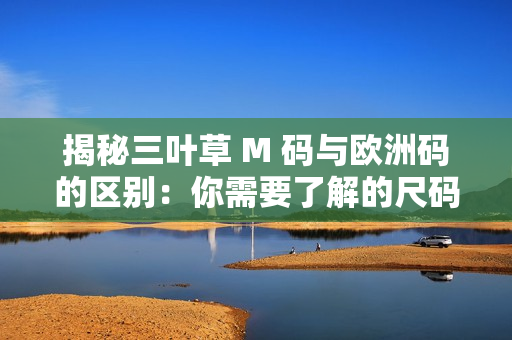 揭秘三葉草 M 碼與歐洲碼的區(qū)別：你需要了解的尺碼知識(shí)