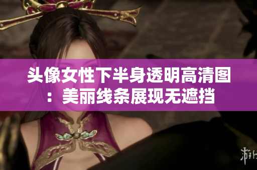 頭像女性下半身透明高清圖：美麗線條展現(xiàn)無遮擋