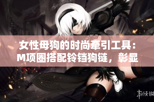 女性母狗的時(shí)尚牽引工具：M項(xiàng)圈搭配鈴鐺狗鏈，彰顯個(gè)性魅力