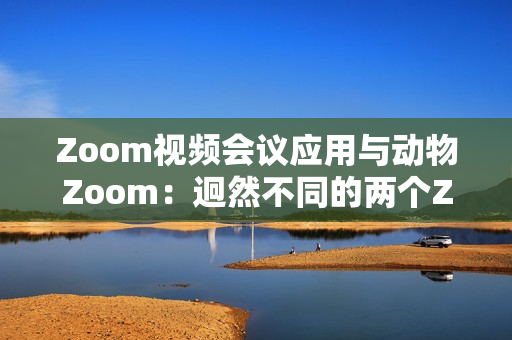 Zoom視頻會議應(yīng)用與動物Zoom：迥然不同的兩個Zoom世界
